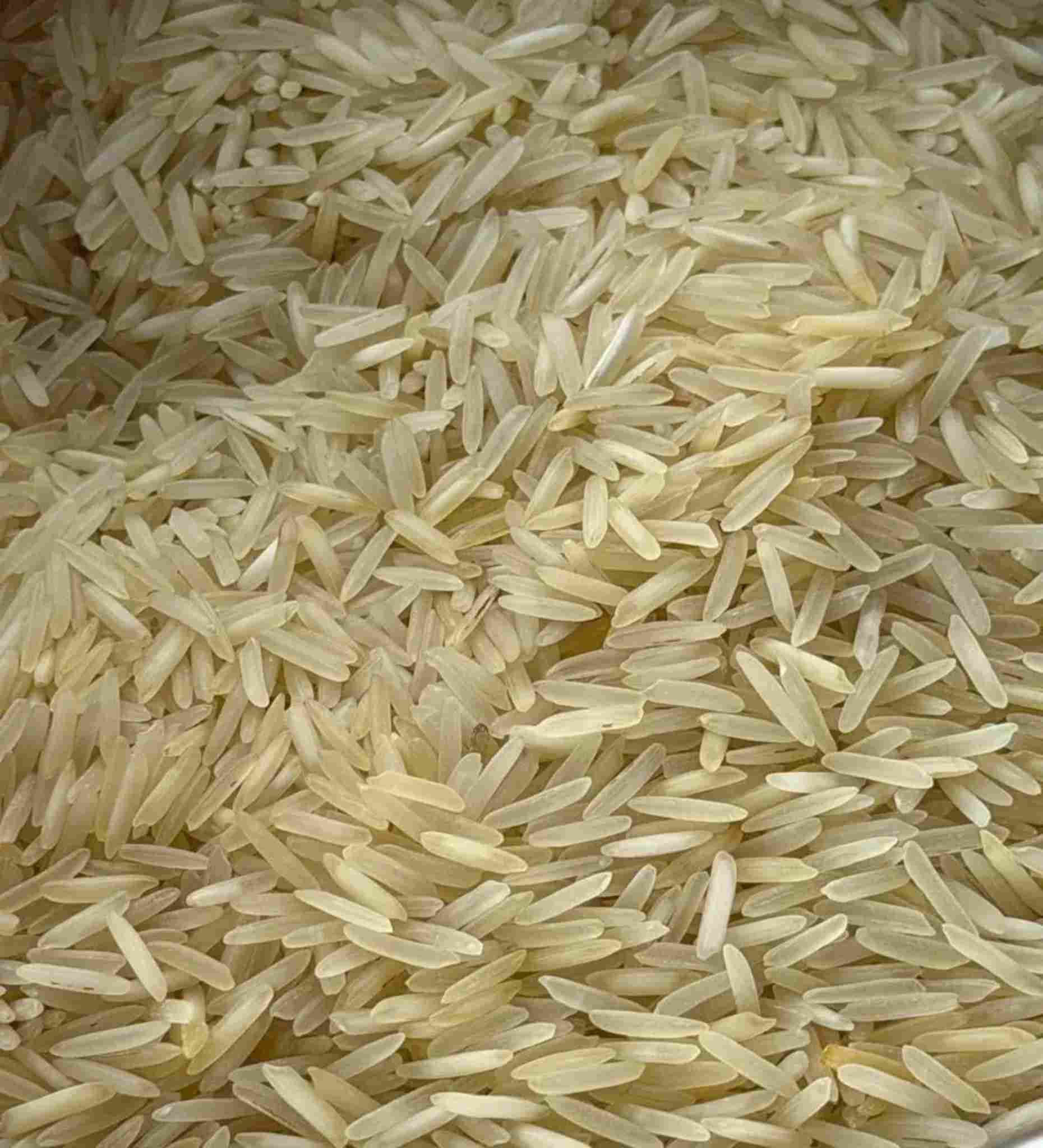 KHUSHDIL RICE  image 1