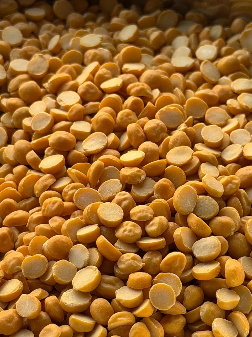 CHANA DAAL image 1