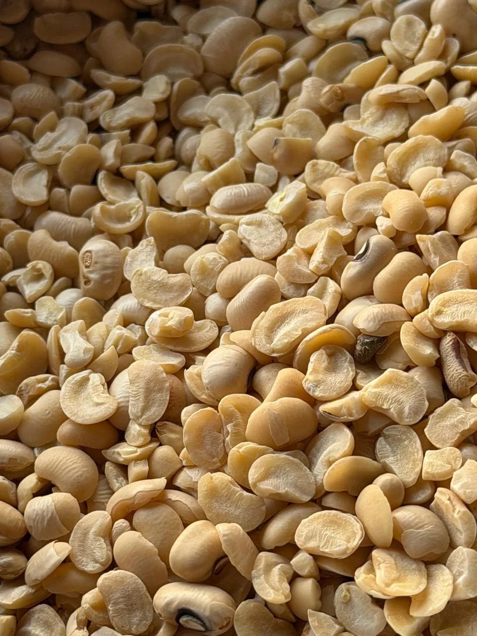 BARBATI DAAL image 1