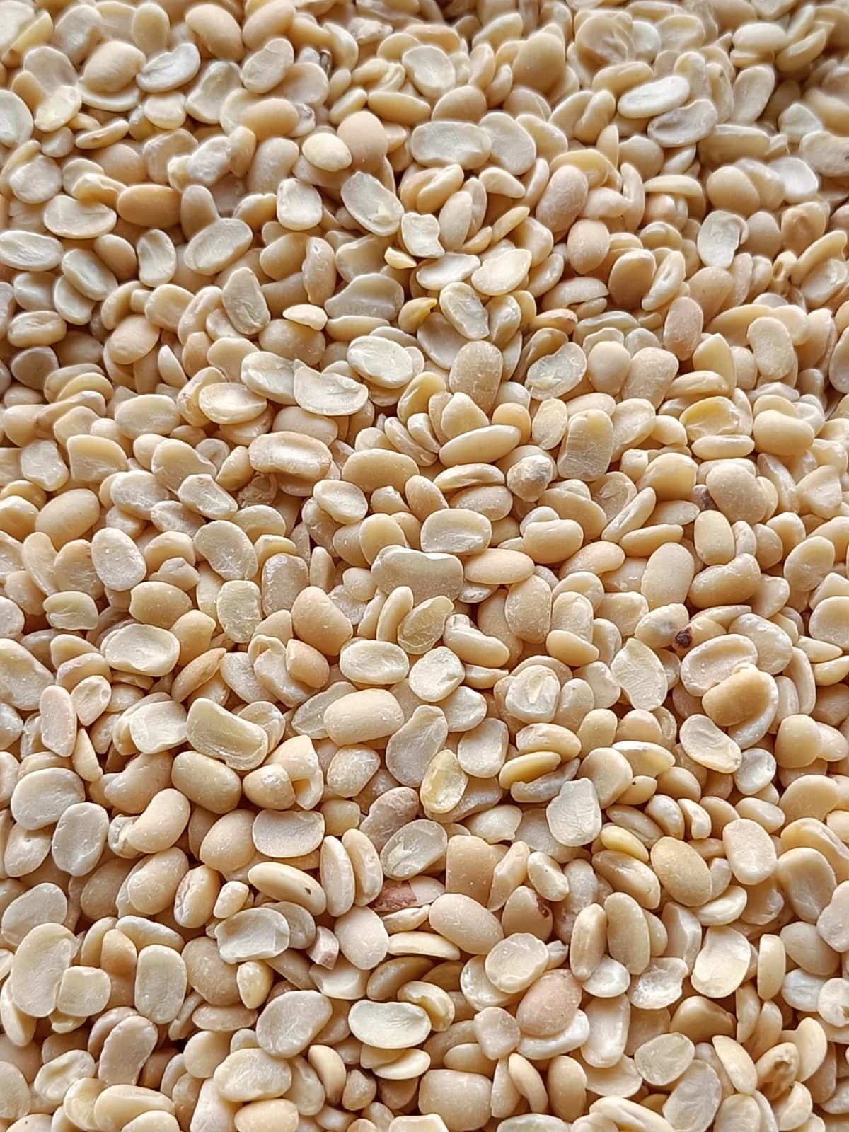 BARBATI MOGAR image 1