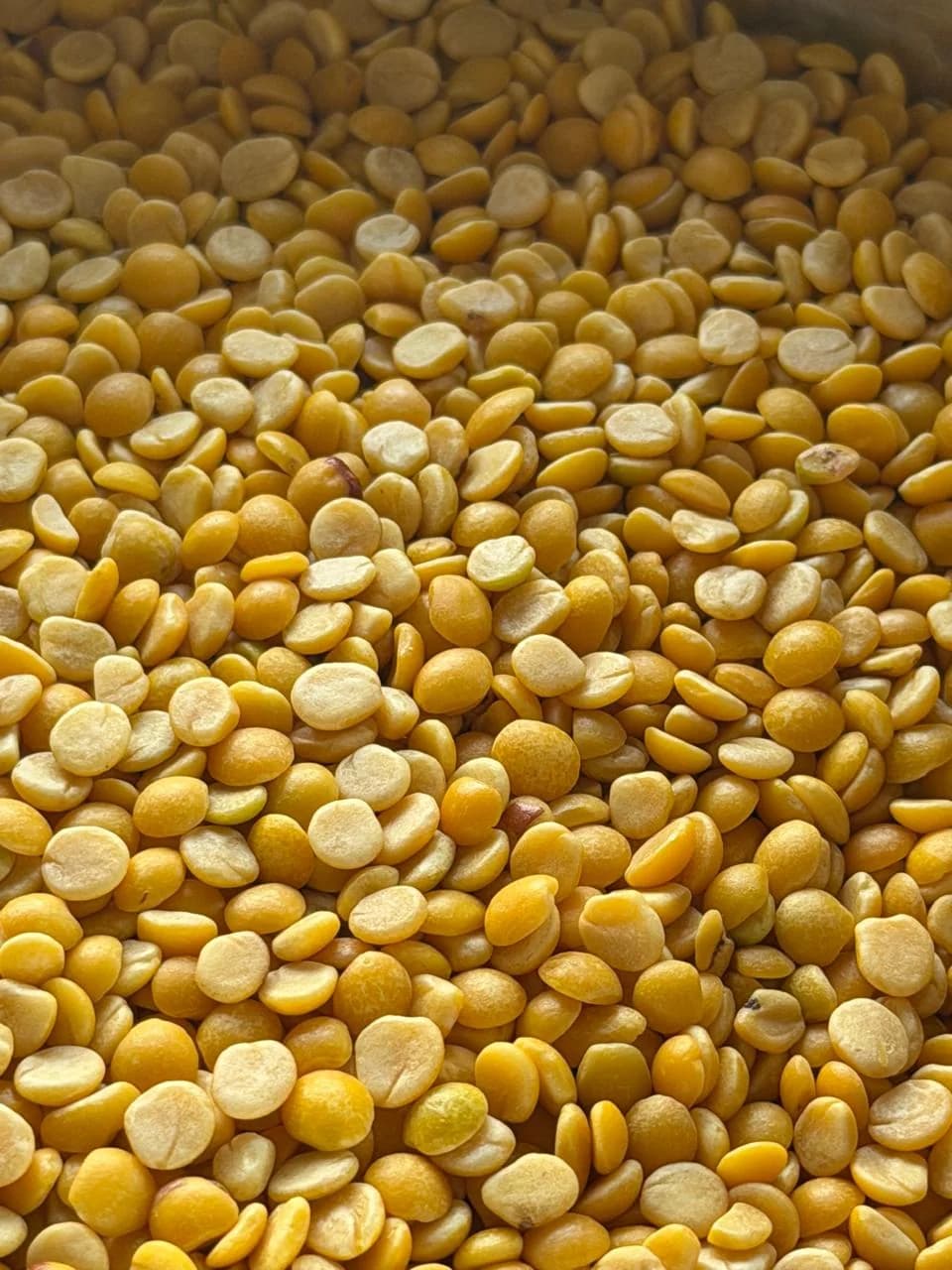 KANCHAN TOOR DALL image 1