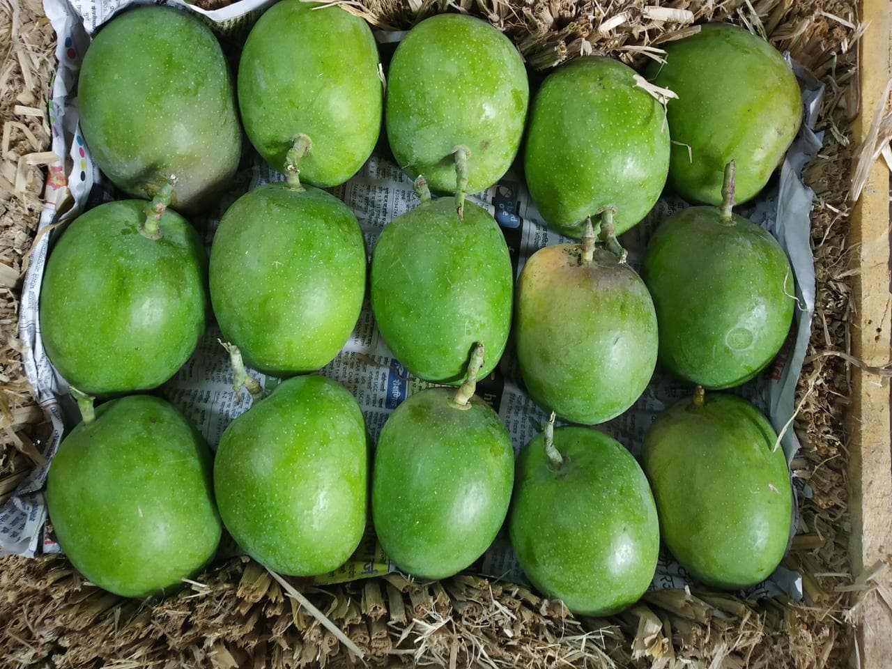 Premium Alphonso Mango (Export-quality) image 1